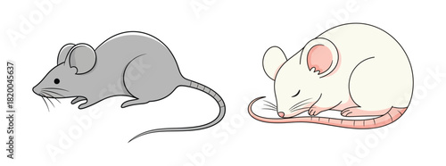 Two Mice, One Gray Standing and One White Sleeping