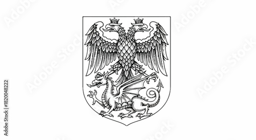 Vintage heraldic illustration of an engraved coat of arms featuring a powerful double-headed eagle and a fierce mythical dragon in a detailed flat 2D style on a stark white background.