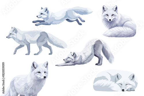Arctic Fox Illustration in Flat Vector Style with Detailed Fur on White Background