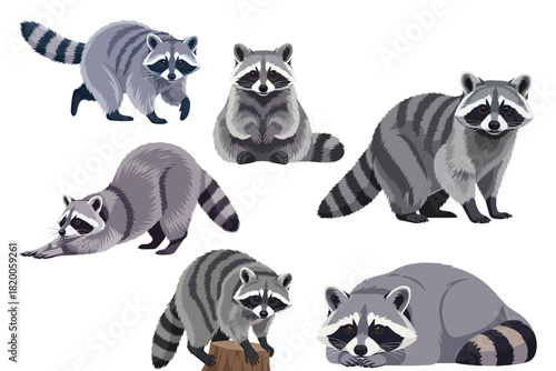 Raccoon Illustration in Flat Vector Style with Detailed Fur on White Background