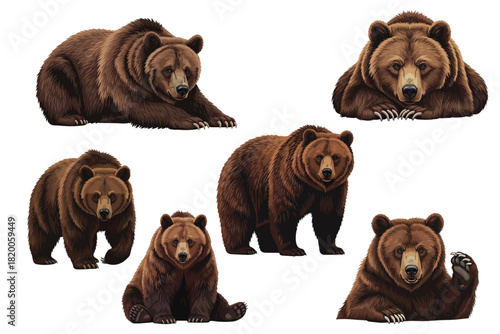Brown Bear Illustration in Flat Vector Style with Detailed Fur on White Background