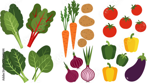 Fresh collection of assorted vegetables on a white background