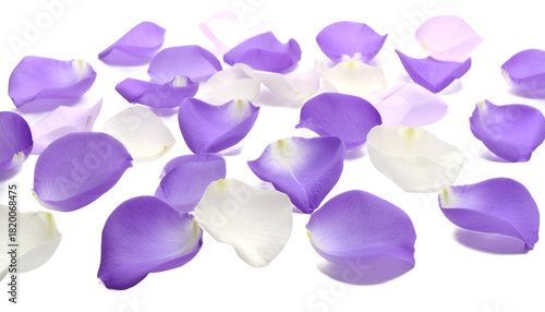 Wallpaper Mural Scattered lilac and white rose petals on a white surface, creating a soft and romantic backdrop Torontodigital.ca