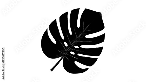 Vector illustration of black and white silhouette icon of a monstera deliciosa leaf isolated on transparent background