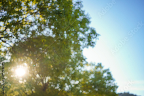 緑と青のぼかし背景