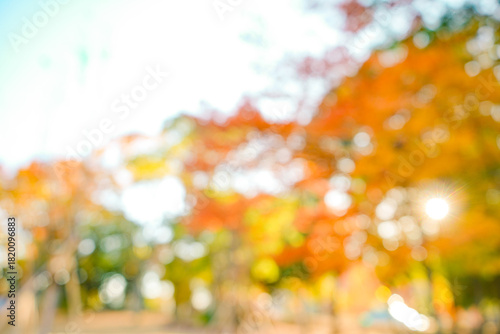 秋のぼかし背景