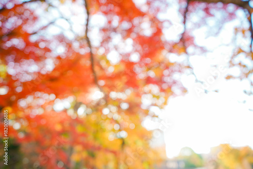 秋のぼかし風景