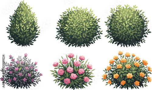 Set of shaped green bushes and colorful flowering shrubs vector illustration isolated on white background for garden landscape design.
