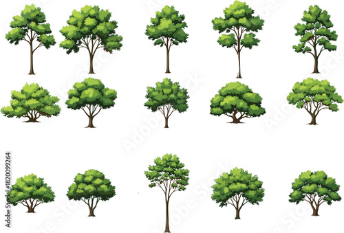 Set of various green deciduous trees and bushes vector collection isolated on white background for nature landscape and game design.
