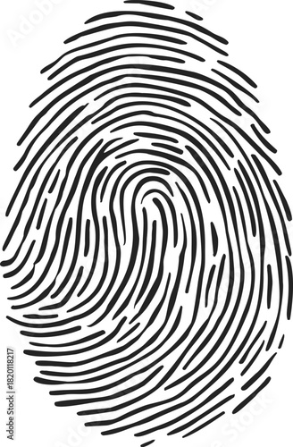 Fingerprint sketch, hand drawn vector, detailed black lines on white background. Vector illustration