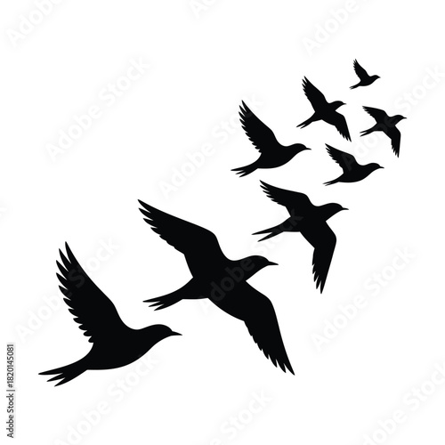 Flock of birds in silhouette flying across a white background, freedom