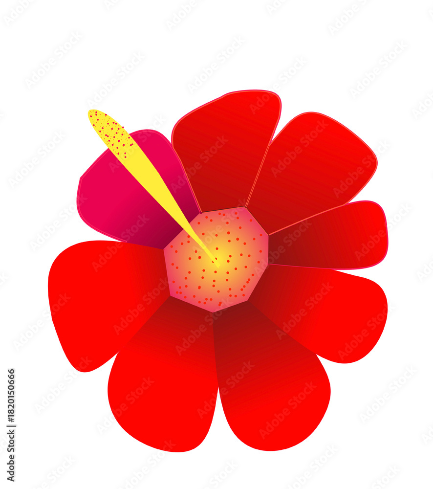 Fototapeta premium red and yellow flower