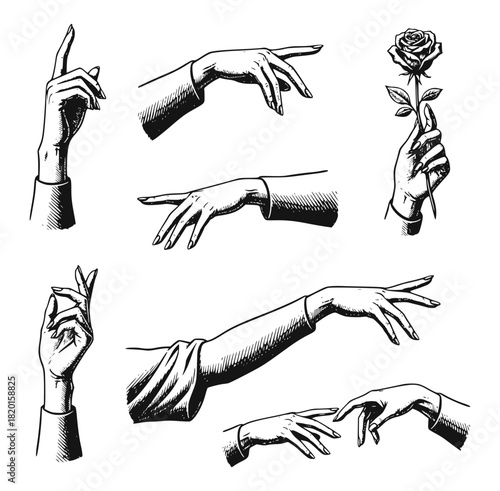 Monochrome set of eight vintage female hands in various elegant poses, including pointing, holding a rose, and classical gestures. Detailed ink sketch illustration for design or drama.