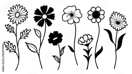 Set of 10 hand-drawn pressed flower doodles vector illustration scalable graphics
