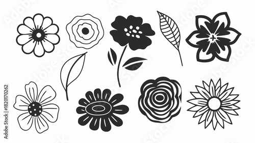 Hand drawn floral elements vector set scalable botanical illustrations for design