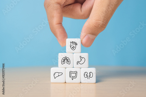 Hand arranging internal organ icons