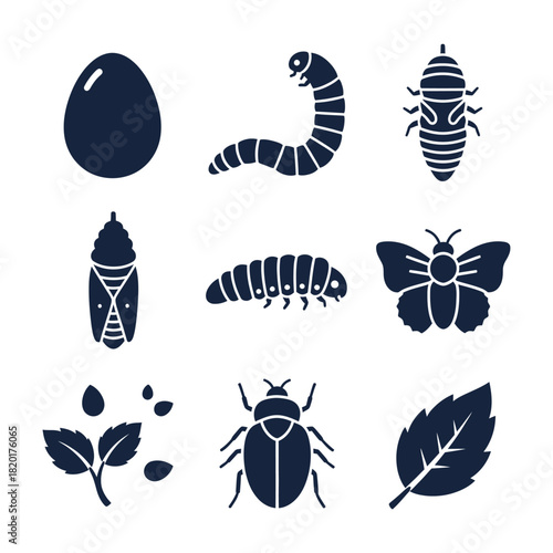 Insect and Biology Study Icons for Science Use