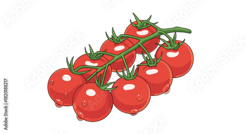 Fresh red cherry tomatoes on the vine with water droplets, a realistic and juicy vector illustration for healthy eating concepts.