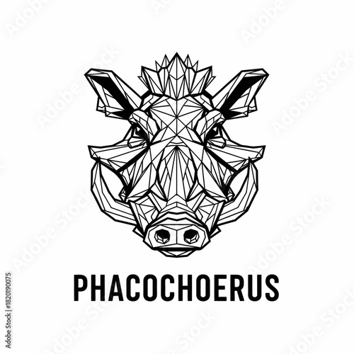 Geometric Warthog Head Illustration with Phacochoerus Text Below.