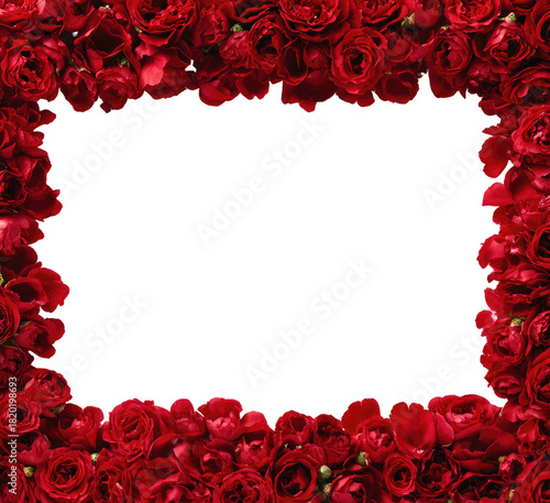 Red rose frame; dark center creates contrast for your image