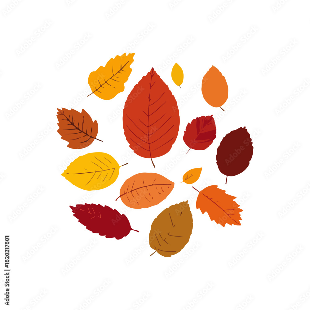 Obraz premium Autumn Leaves Composition Decorative Fall Foliage on White
