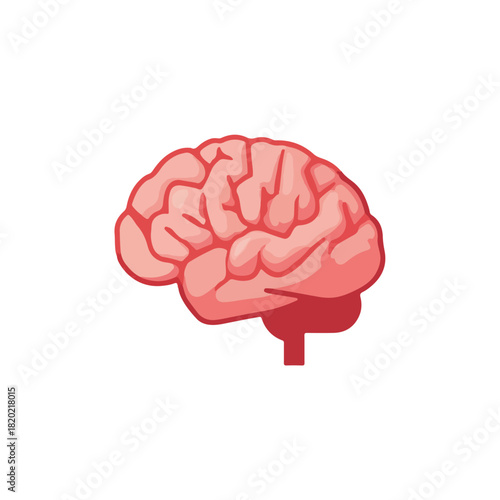 Brain Illustration Medical Concept, Anatomical Design Element