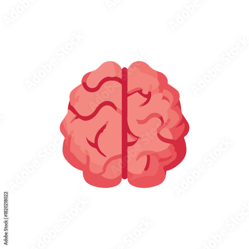 Cartoon Brain Illustration on White Background for Education