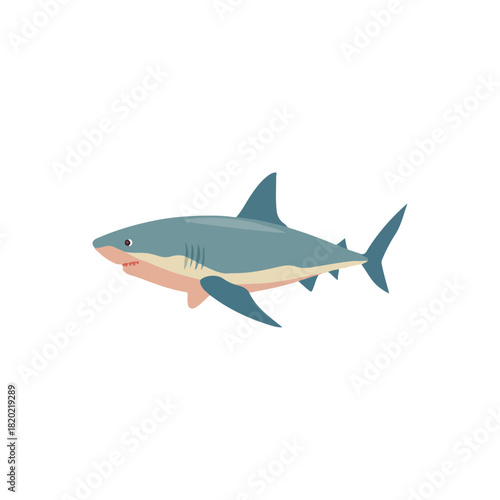 Flat Shark Illustration on White Background Marine Animal