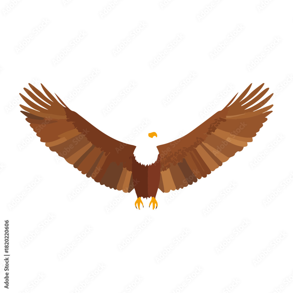 Obraz premium Majestic Bald Eagle Geometric Wingspan on White