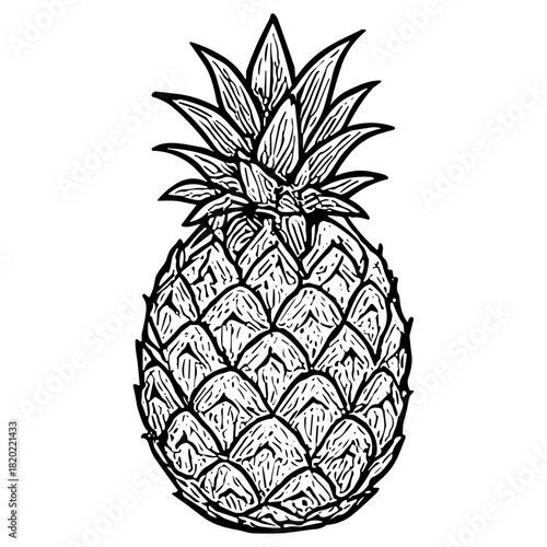 Pineapple