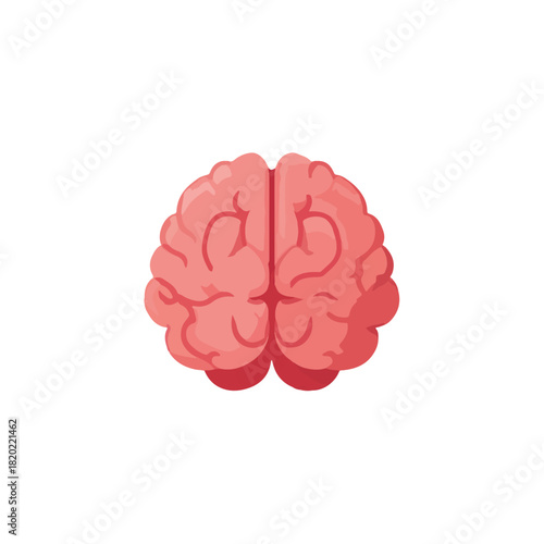 Pink Brain Illustration on a White Background