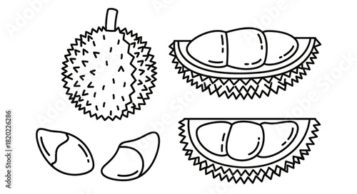 Enjoy fresh durian fruit slices and whole durian in bright cartoon art