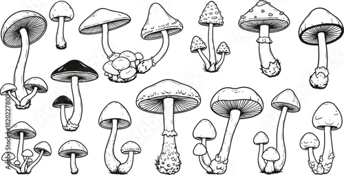 Collection of hand drawn black and white mushroom illustrations in various shapes and sizes