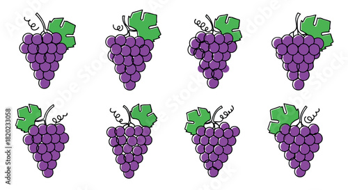 Purple grapes bunch with transparent background
