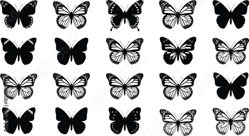 Collection of black and white butterfly silhouettes and line art illustrations insect