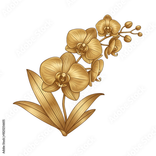 Elegant golden orchid blooms for luxurious designs and sophisticated branding, perfect for upscale events and high-end product packaging, timeless floral beauty