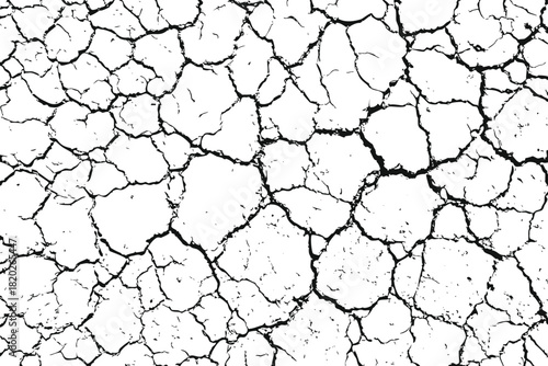 cracked grunge texture vector illustration. Abstract soil cracks for creative design. cracked wall texture grunge background, a black and white. Eps 10