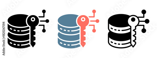 Encryption Key Icon Collection Set  Glyph & Mixed Style  