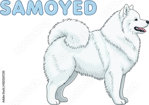 Adorable Cartoon Samoyed Dog Illustration with Text
