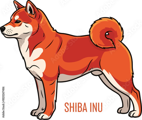 Stylized Shiba Inu Dog Illustration on White Background