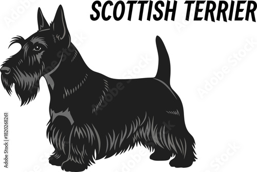 Black Scottish Terrier Dog Illustration With Text