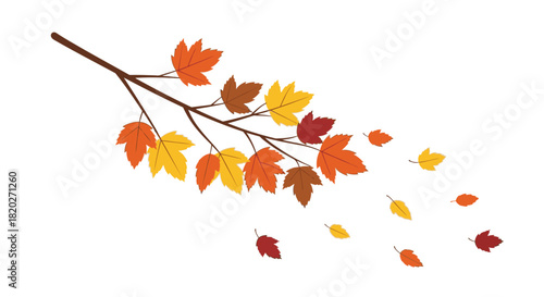 A tree branch with colorful autumn leaves falling off and blowing in the wind against a white background.