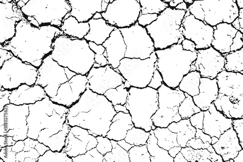 cracked texture white and black for creative design. cracked wall texture grunge background, a black and white vector illustration. Eps 10