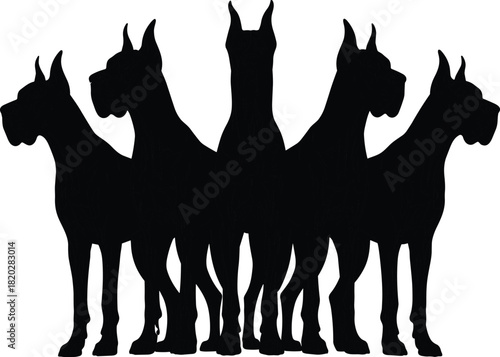 Black Silhouette Vector Illustration of a Group of Five Majestic Great Dane Dogs Standing in a Line, Guarding and Protecting the Territory