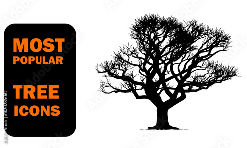 Bare tree branches silhouette on white background artistic image with intricate detailed twig pattern in winter season graphic illustration