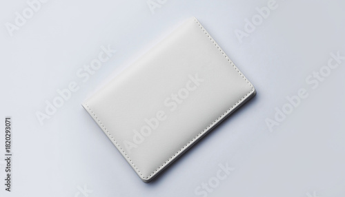 Passport holder travel image