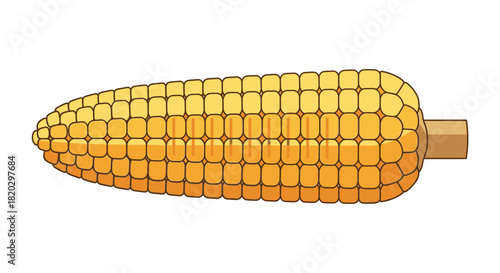 A single ear of yellow corn with a stalk, illustrated in a simple cartoon style on a white background.