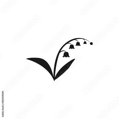  Lili of the valley flowers vector logo