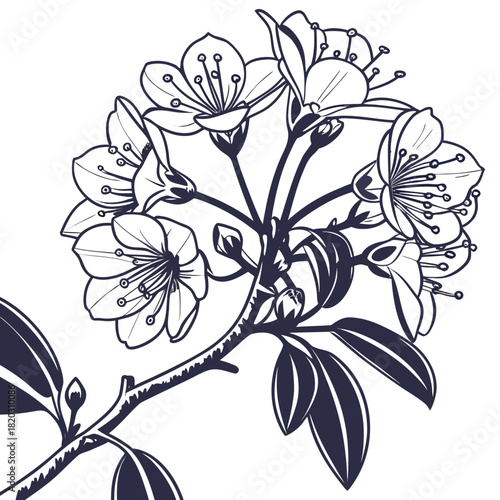 Creative details Mountain Laurel Blossom Icon vector illustration