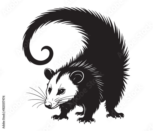 Stylized Opossum Illustration, Bold Black and White Wildlife Art.
